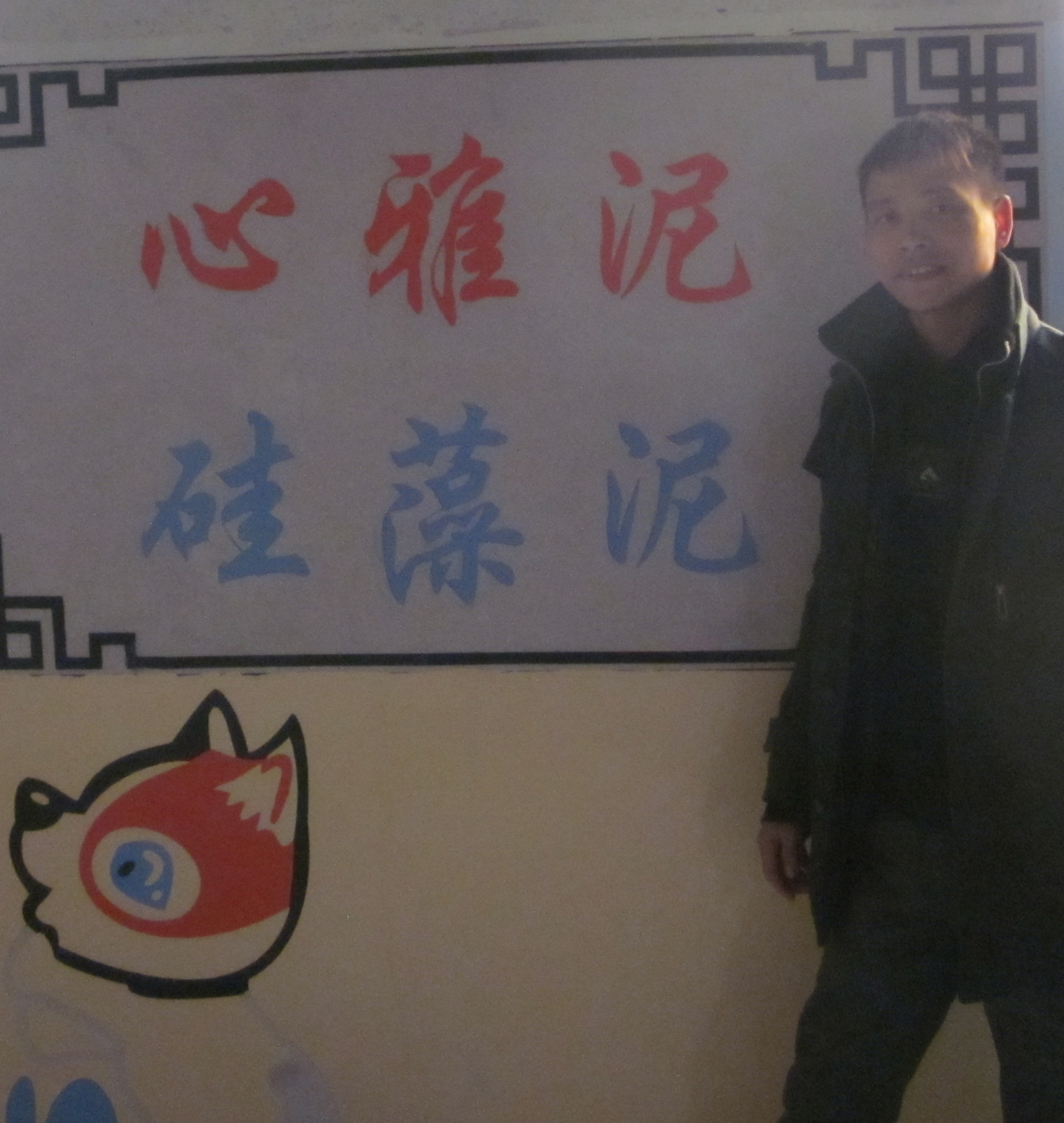 心雅硅藻泥经销商5